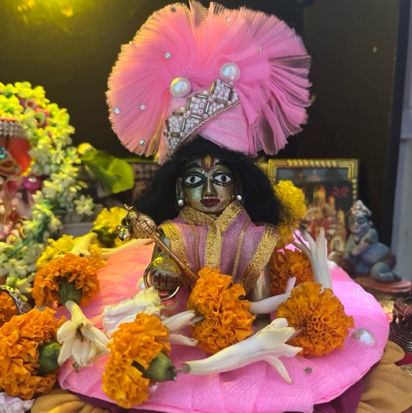 Dip profile image of Dip