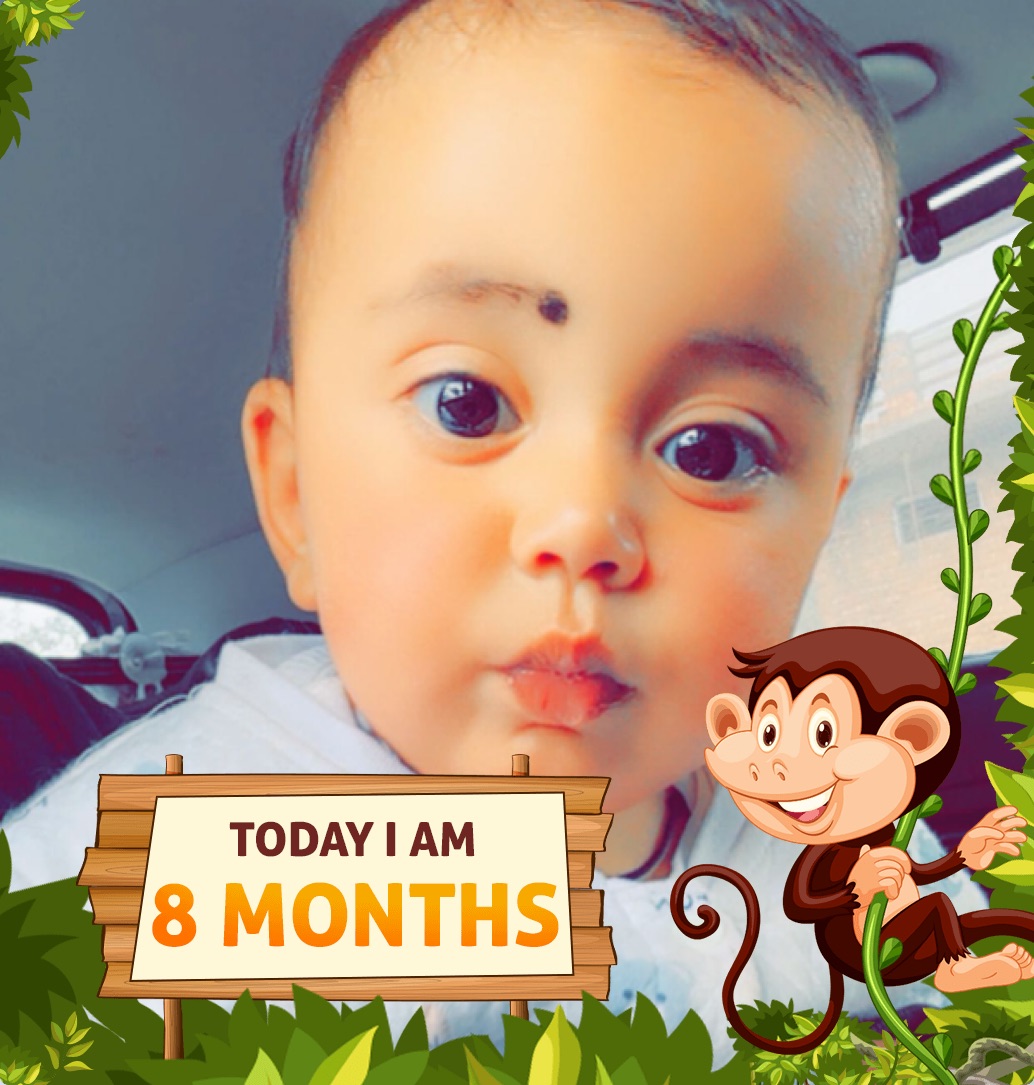 profile image of Nikku