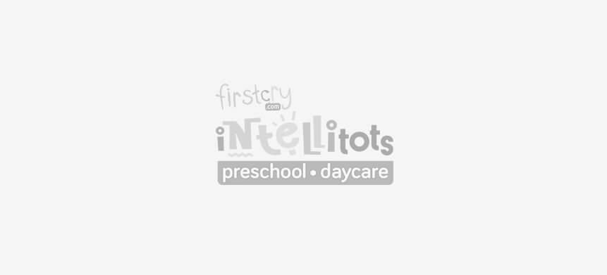 Best Daycare, Playschools and Preschools in India - FirstCry Intellitots